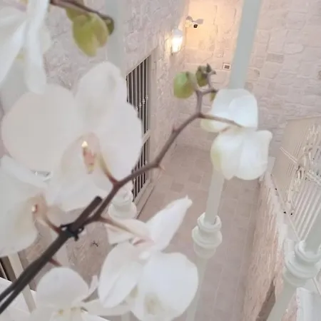 Antica Dimora * Lizzano (Apulia)