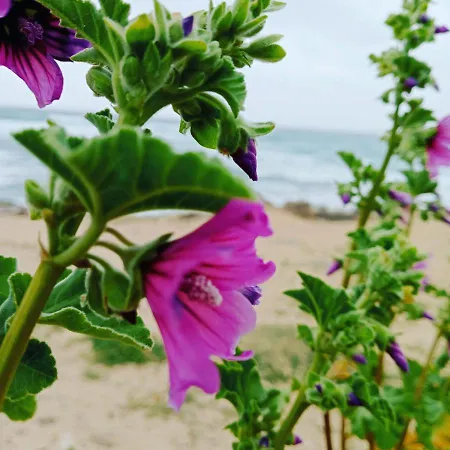 Antica Dimora Ferienhaus Lizzano (Apulia)