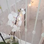 Tatil Evi Antica Dimora Lizzano (Apulia)