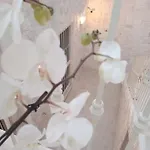 Antica Dimora * ליצאנו