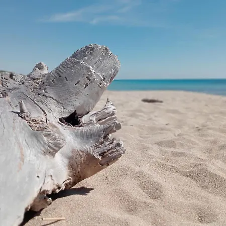 Antica Dimora Σπίτι διακοπών Lizzano (Apulia)