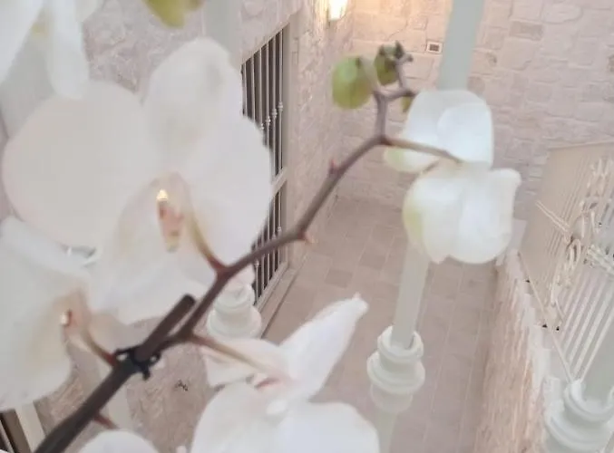 Antica Dimora * Lizzano (Apulia)
